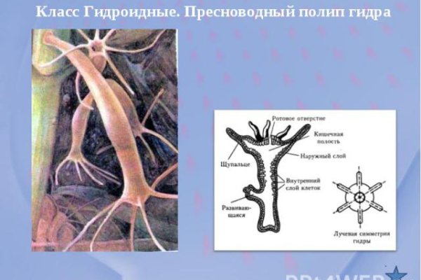 Каталог онион сайтов